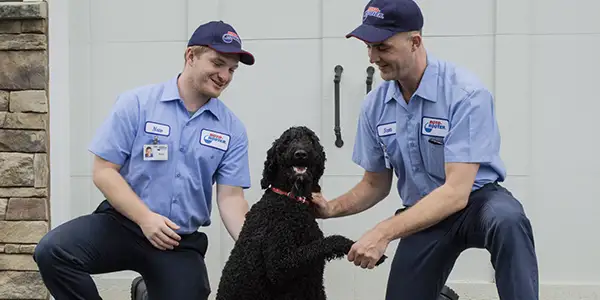 Roto-Rooter Pet Rescues, Giving Thanks Food Drive